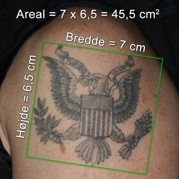Tatovering, eksempel på udregning af areal af mellemstor tatovering